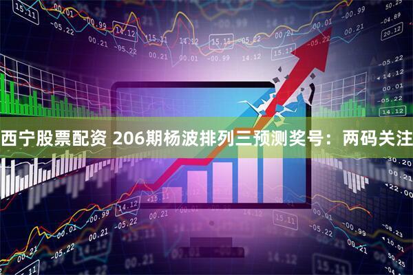 西宁股票配资 206期杨波排列三预测奖号：两码关注